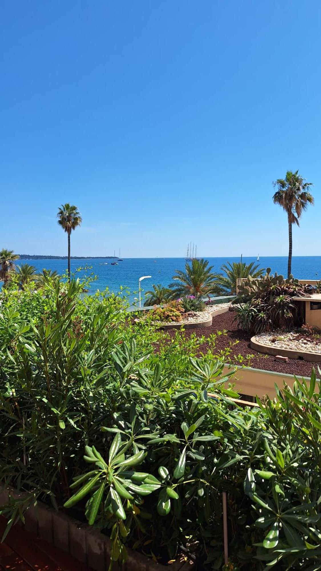 Superbe 1 Vue Panoramique Sur La * Cannes